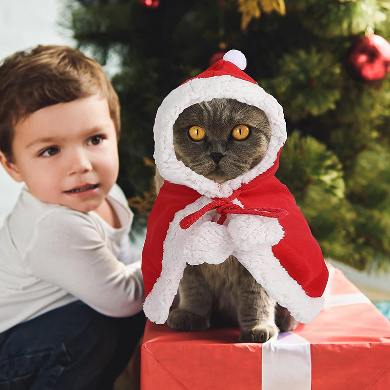 Disfraz de Papá Noel para gato y perro, capa de Navidad transformada, ropa de vestir, bufanda roja, capa, accesorios de decoración