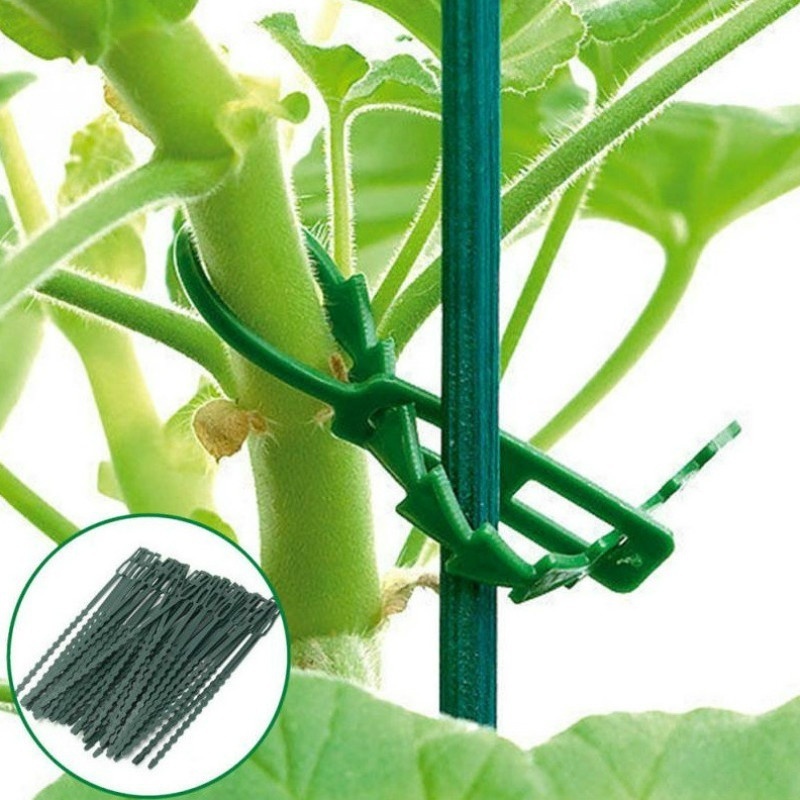 50 Uds. Bridas de plástico ajustables para cables de plantas, bridas para cables reutilizables para jardín, árbol, soporte para escalar plantas, vid, tomate, Clip para tallo