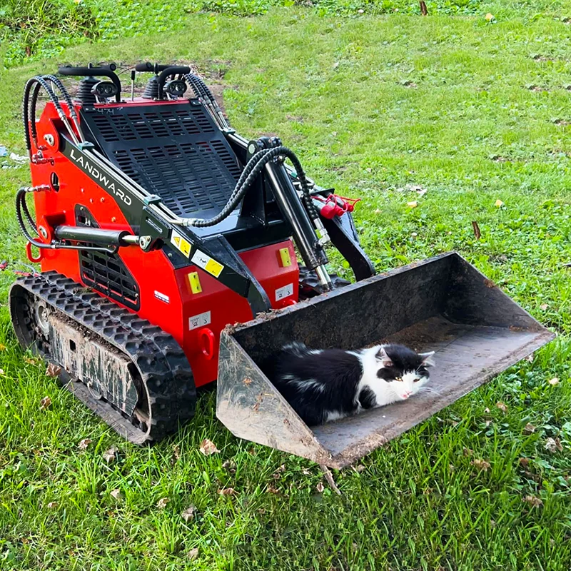 EPA Euro 5 Small Skid Steer Loader Wholesale Home Crushing Equipment Multi-Purpose Mini Skid Steer Loader Snow Shovel Customized