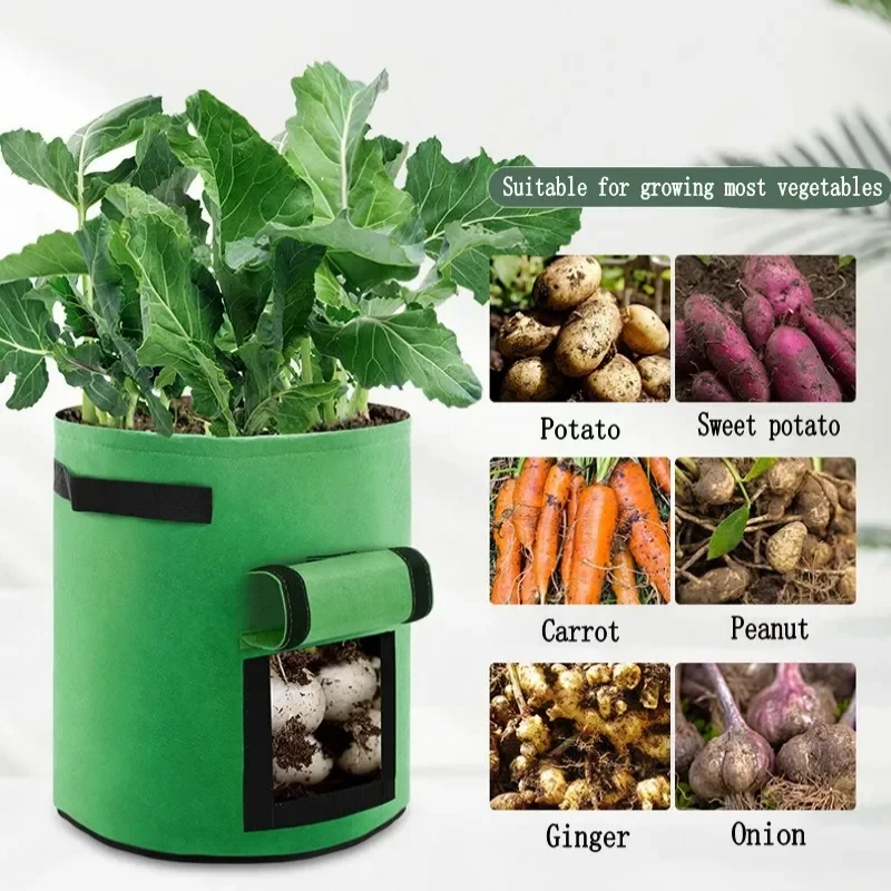 Borsa per piantare patate in feltro da 5/7 galloni Borsa per piantine di piante vegetali di grande diametro Secchio per coltivazione di patate in feltro non tessuto