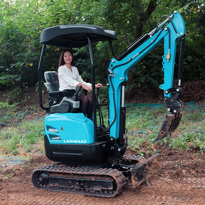 High Quality 1.8 Ton Mini Crawler Excavator 1.6 Ton Kubota Small Digger Hydraulic 1500 KG Excavator Factory Customization Sale
