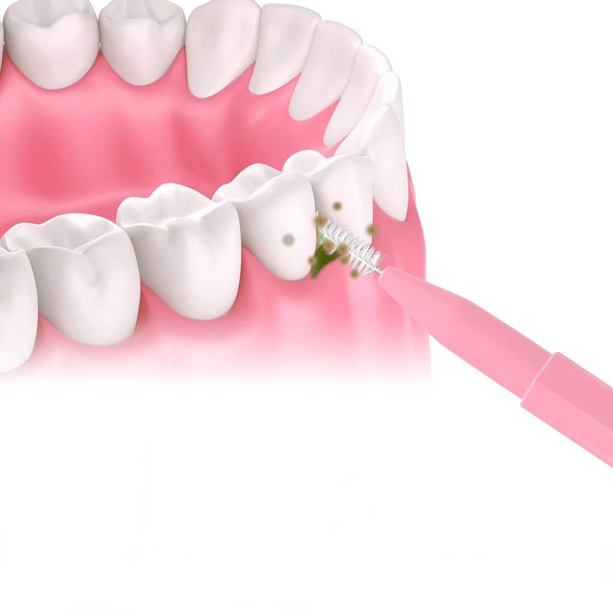 30 Chiếc Bàn Chải Kẽ Răng Chăm Sóc Sức Khỏe Răng Escova Kẽ Răng Sạch Chỉnh Nha Nha Khoa Răng Bàn Chải Dụng Cụ Vệ Sinh Răng Miệng
