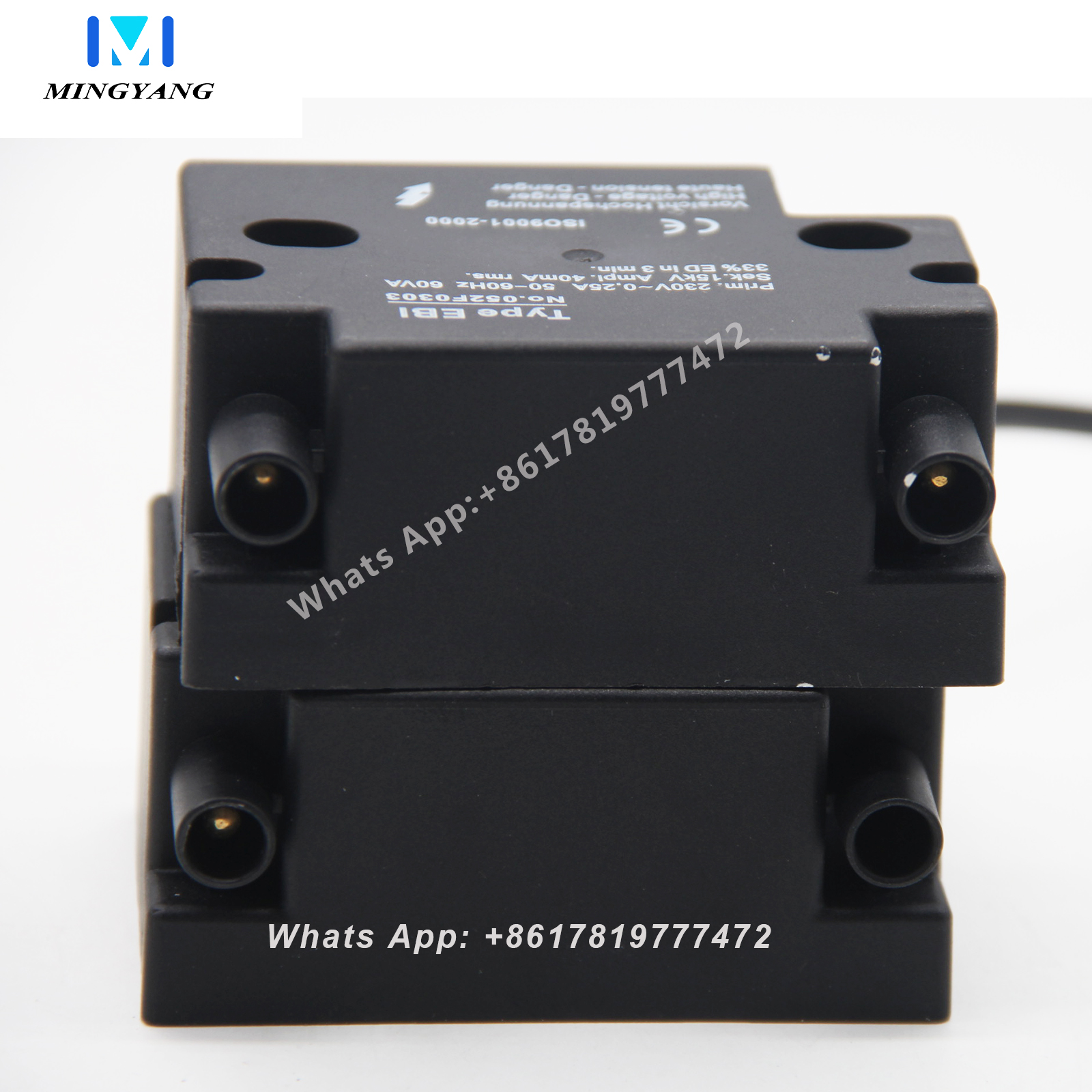 Encendedor Transformador de alto voltaje Metanol Diesel Encendido de aceite residual Aguja de encendido de cerámica Encendido continuo de alto voltaje