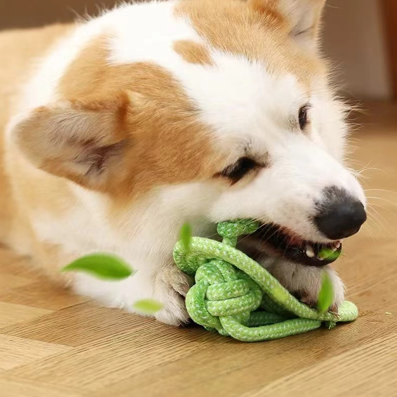 Brinquedos para cães de estimação, brinquedos para cães grandes e pequenos, corda de algodão interativa, mini brinquedos para cães, acessórios, escova de dentes, brinquedo para mastigar cachorros