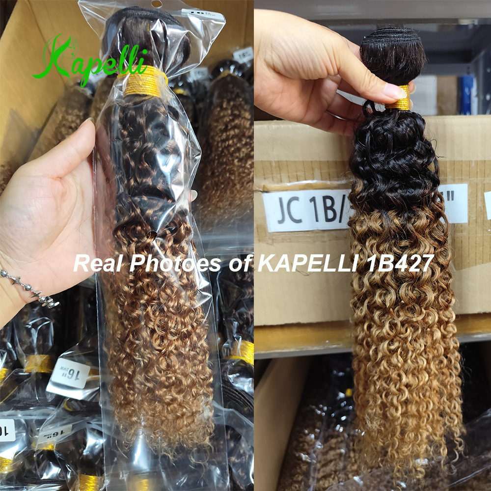 Mechones rizados Afro 15A Ombre 1/3/4 Uds extensiones de cabello humano 100% mechones de cabello humano postizo virgen sin procesar Jerry Curl