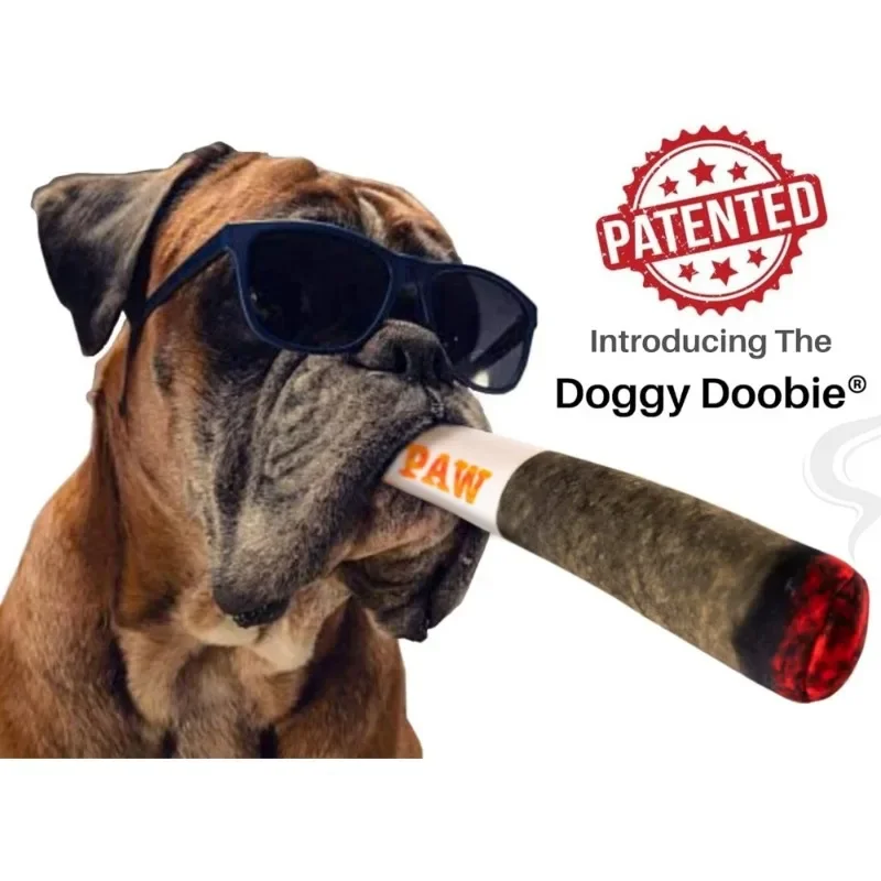 Jouets en peluche grinçants pour chiens moyens, petits et grands, cadeaux d'anniversaire cool et mignons