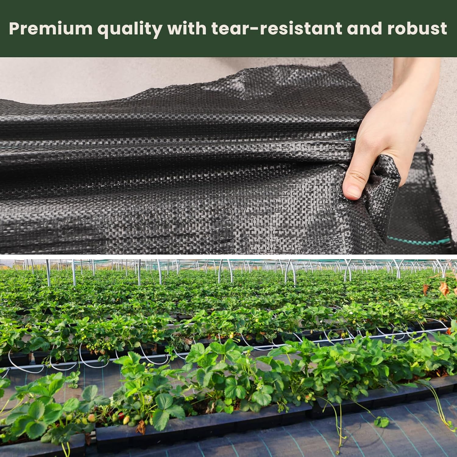 2 x 100 m Malla Antihierbas, Malla contra Malas Hierbas, 90 g/m2 Geotextil, Protección césped Artificial, Lona antimalezas