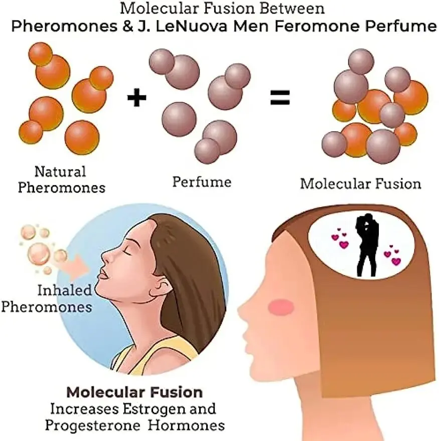 Phéromone de bain longue durée pour hommes, huile parfumée pour hommes, attirent les femmes, événements sociaux d'affaires, nuits de rendez-vous
