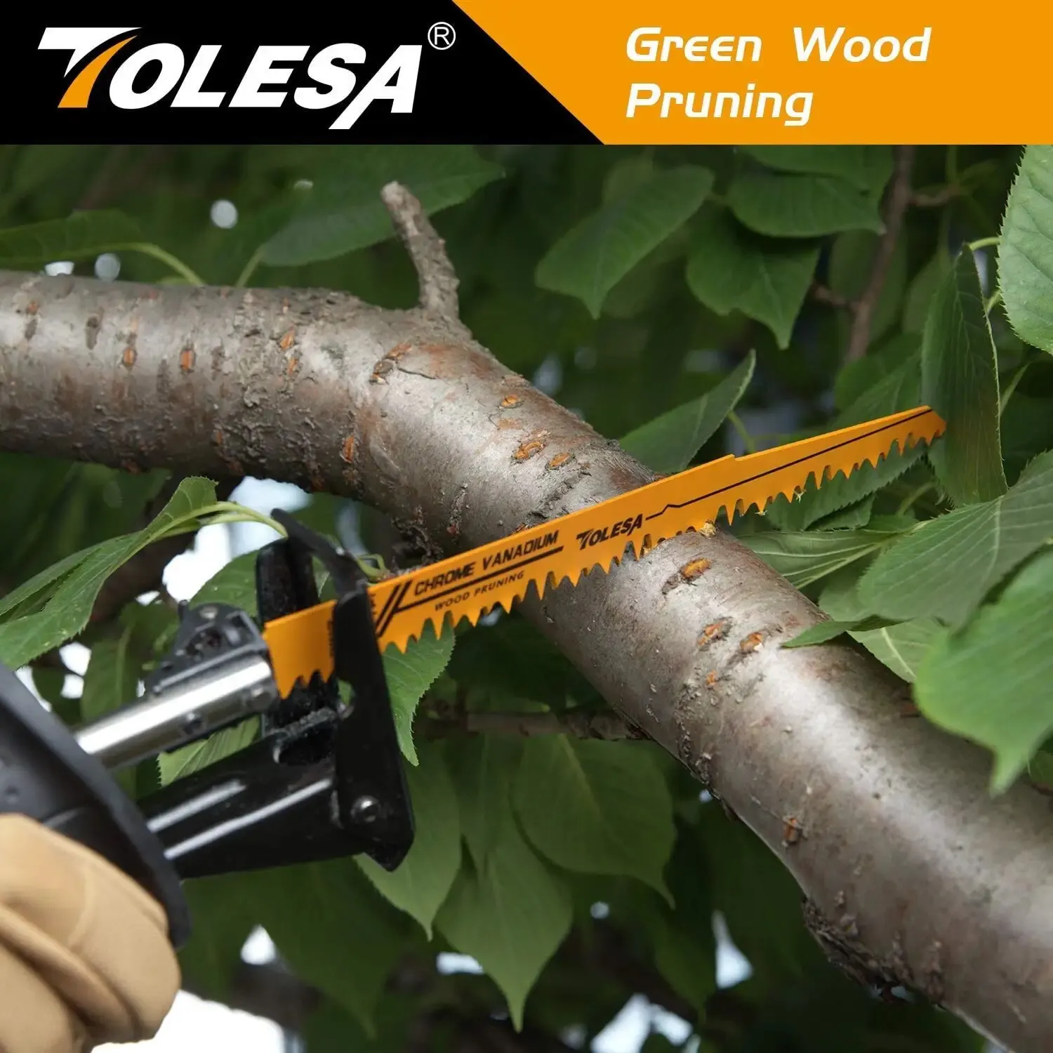 TOLESA 10 hojas de sierra bimetálicas alternativas para poda de madera, corte de PVC, corte de metales pesados, hoja de tubo de Metal para puerta de ventana