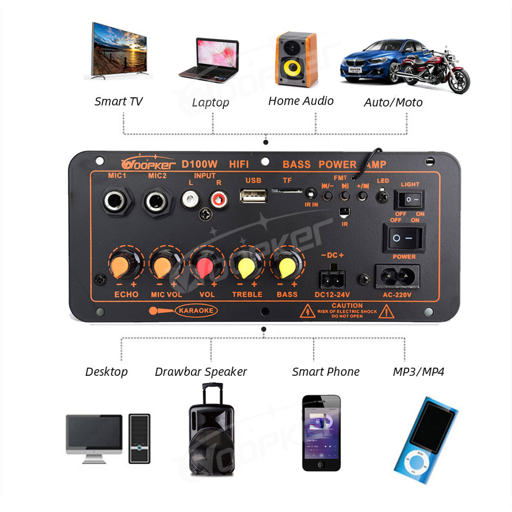 Woopker-placa amplificadora de Audio Bluetooth, 300W, D100, Subwoofer, micrófono Dual, módulo amplificador, 12V, 24V, 220V, reproductor Medie