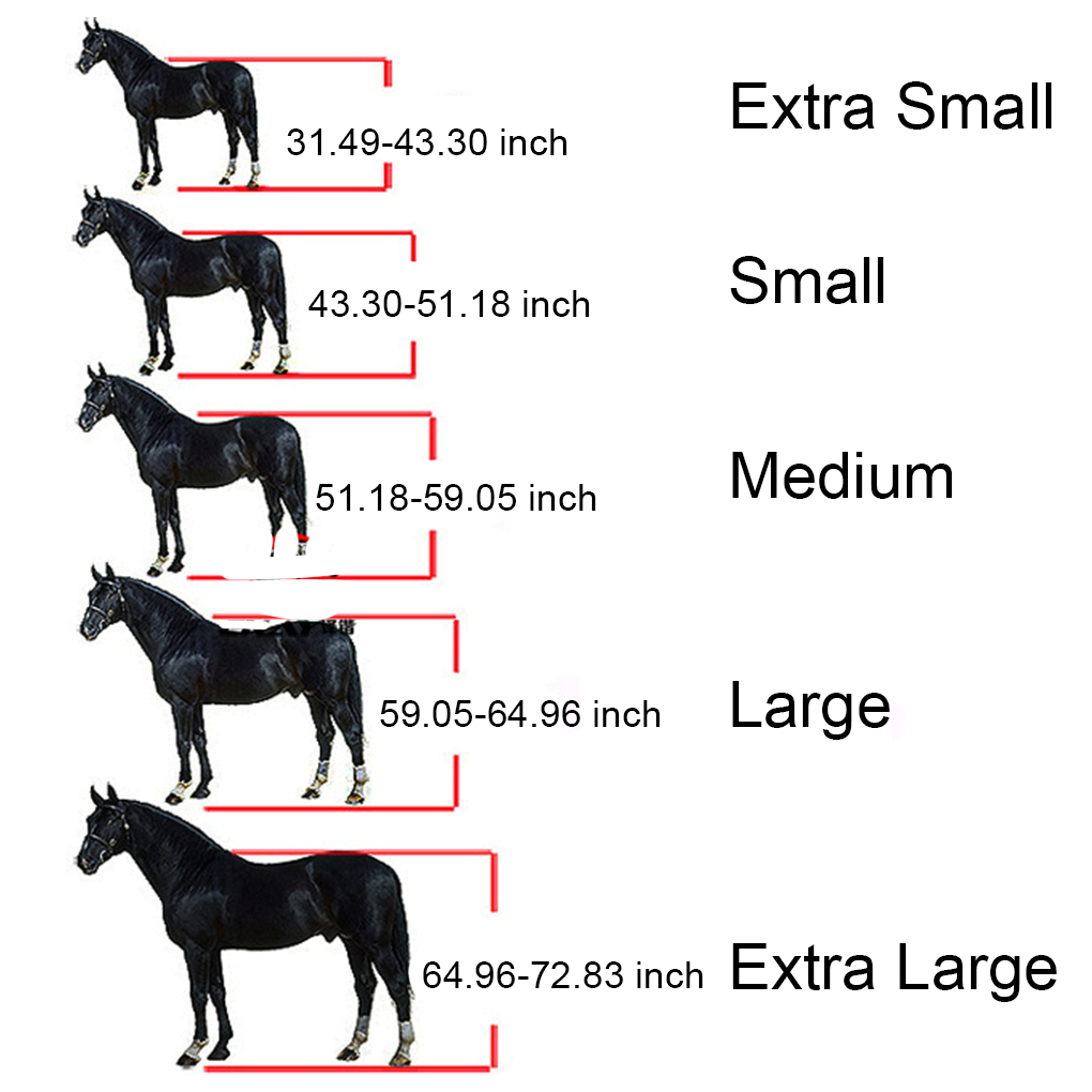 Halter acolchoado pônei bridle cabeça colar ajustável cavalo suprimentos profissional macio acolchoado pônei cavalo halter brida headstall cabeça