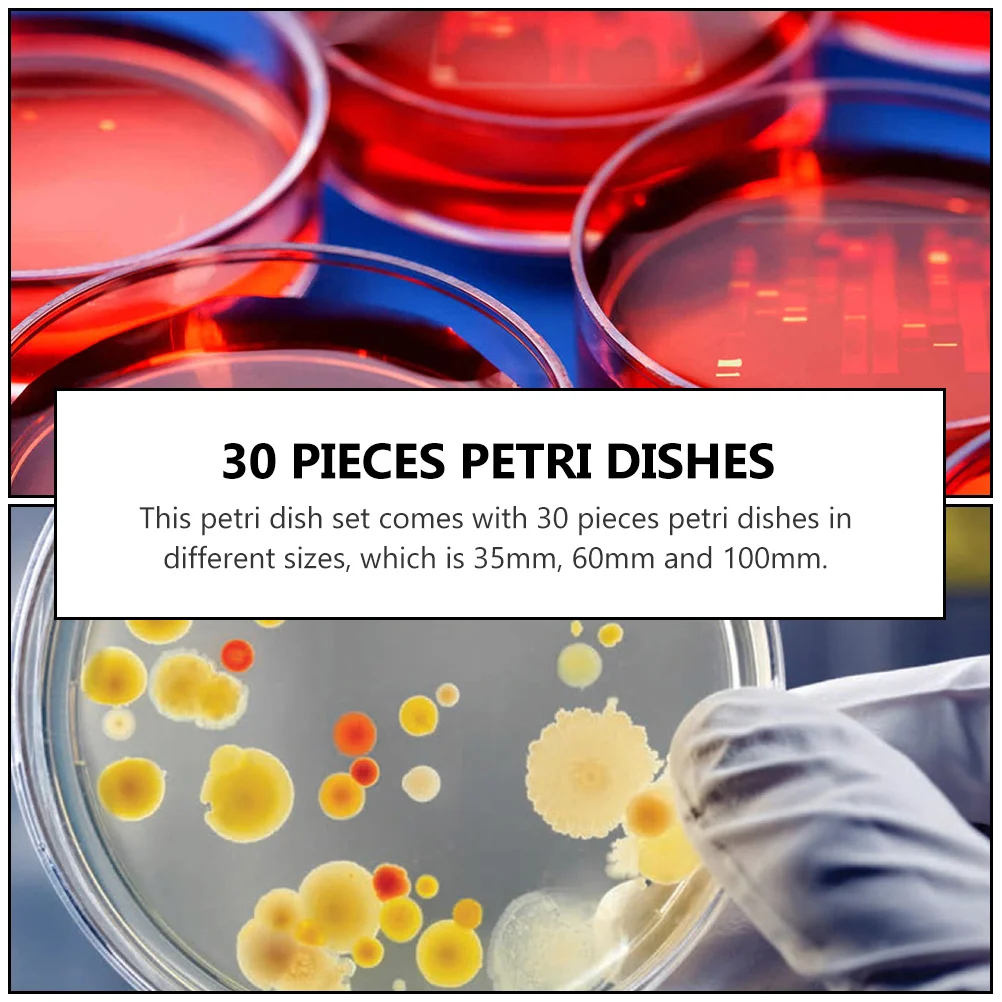 Piastre per petri da 20 pezzi Piastre per coltura trasparenti Laboratorio di ricerca scientifica Fungo Plastica biologica resistente riutilizzabile