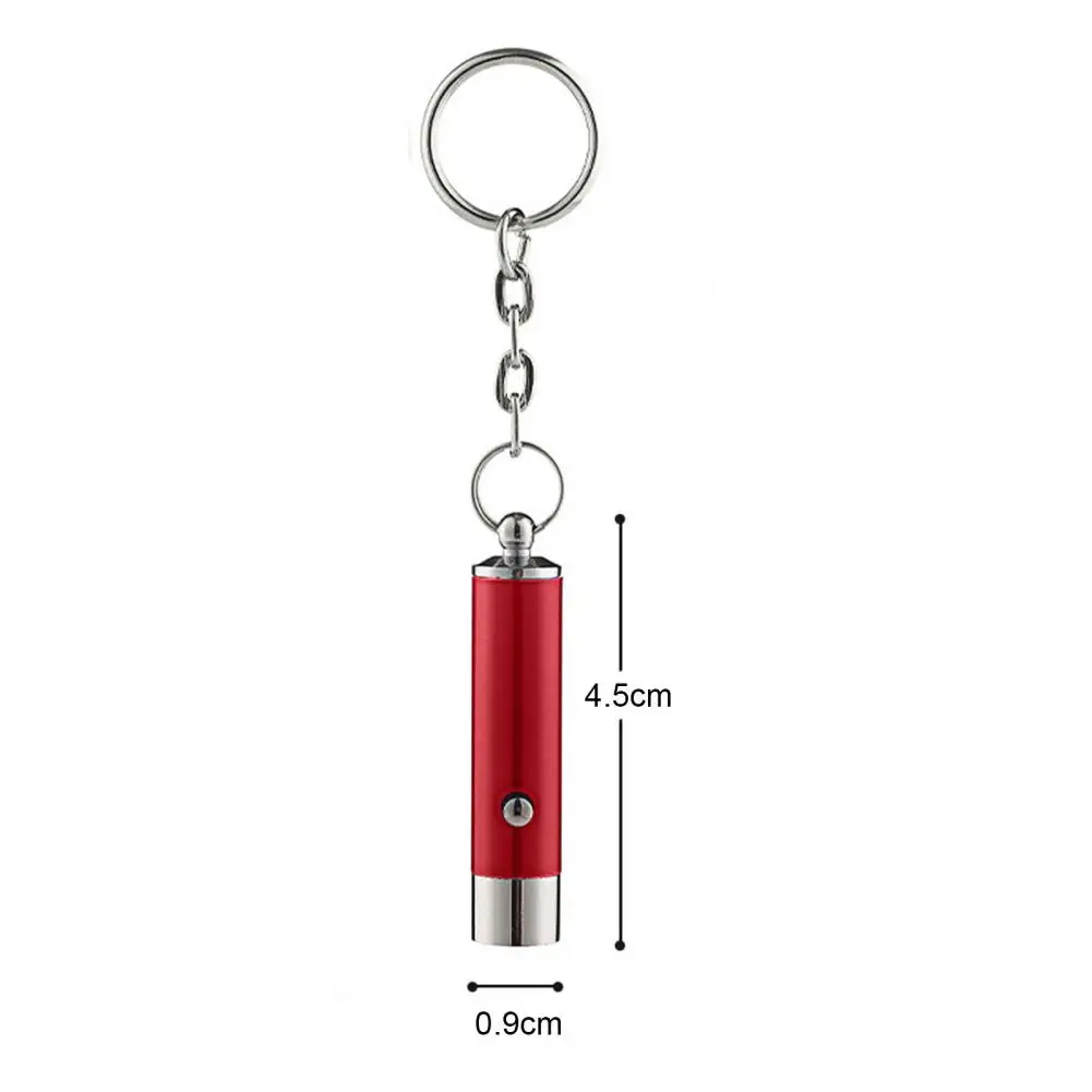 Convenient UV Light Keychain  Battery Operated Small UV Flashlight Keychain  UV Flashlight Torch Key Ring