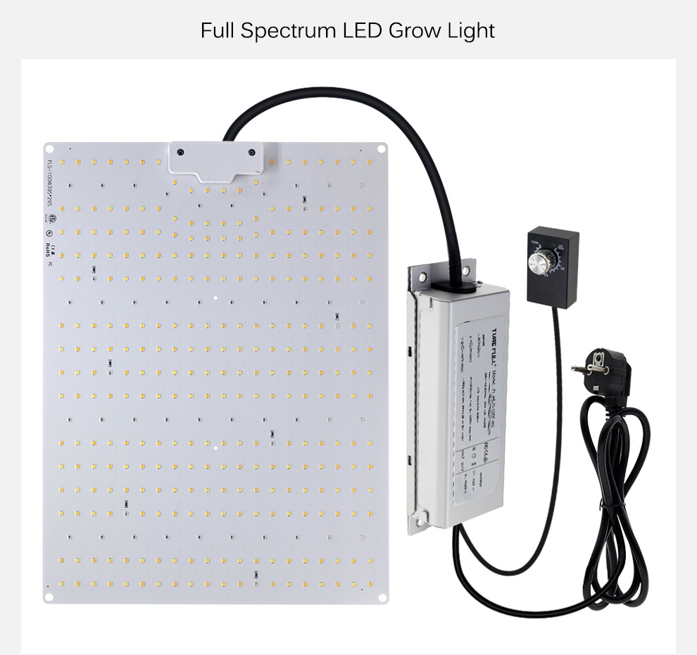 Led cresce a luz espectro completo 100w 150 200 lm281b phyto lâmpada alto brilho luz crescente interior para todas as plantas de palco