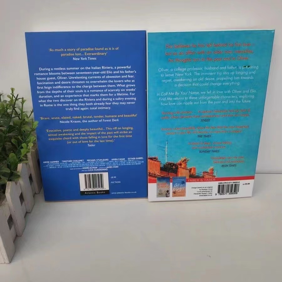 2 Books Call Me By Your Name,Find Me A Novel By Andre Aciman New York Times Bestseller Story Book