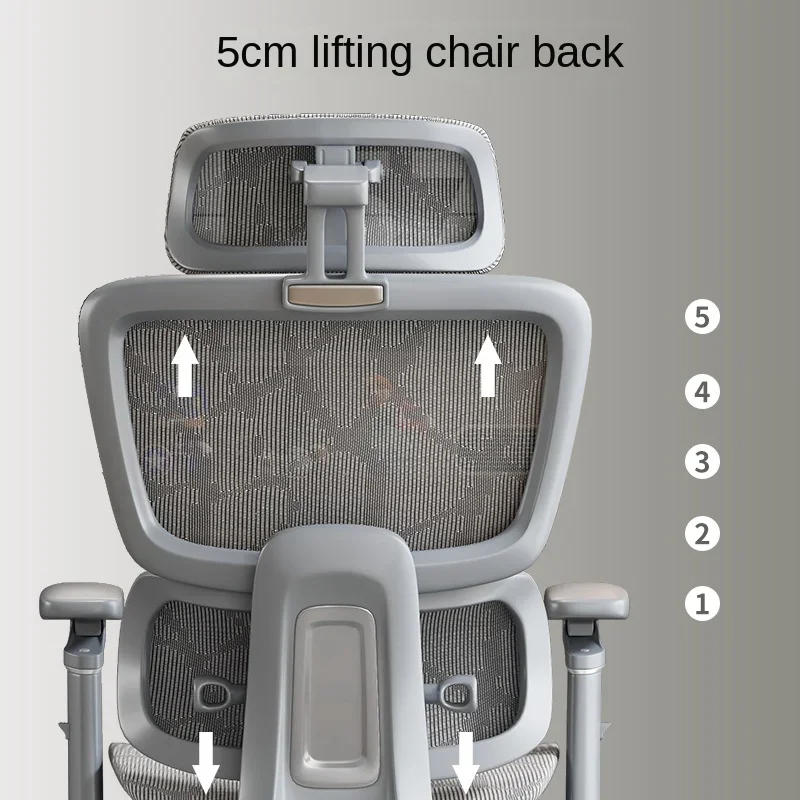 Ergonomic Chair for Office with Adjustable Headrest, Lumbar Support and Reclining Feature