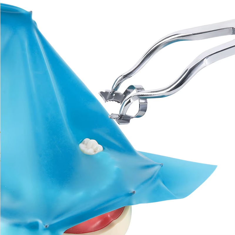 1 pçs braçadeiras de borracha dental aço inoxidável endodontic restaurador barreira clipes odontologia para material ortodôntico