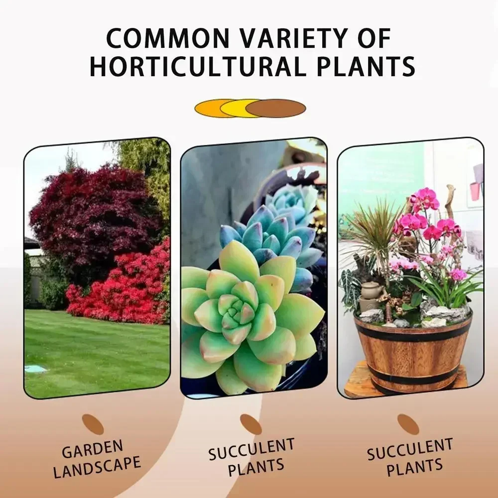 1 個高速発根刺激装置植物急速発根剤植物用根刺激装置観葉植物用根サプリメント園芸用品