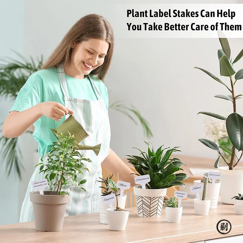 50pcs T-Type Plant Label Markers กันน้ํา PVC สวนพืชการจําแนก Sorting ป้ายหมวดหมู่พืชเนอสเซอรี่เครื่องหมายป้าย