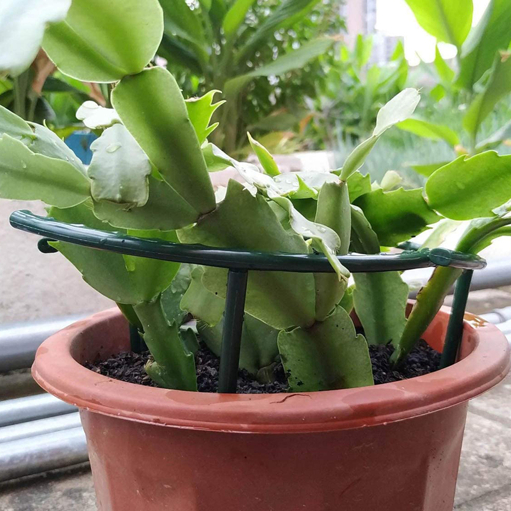 โรงงานพลาสติกสนับสนุนกรอบกองเรือนกระจก Arrangement ครึ่งวงกลมคงที่ Rod ในร่มดอกไม้ VINE Climbing Bracket