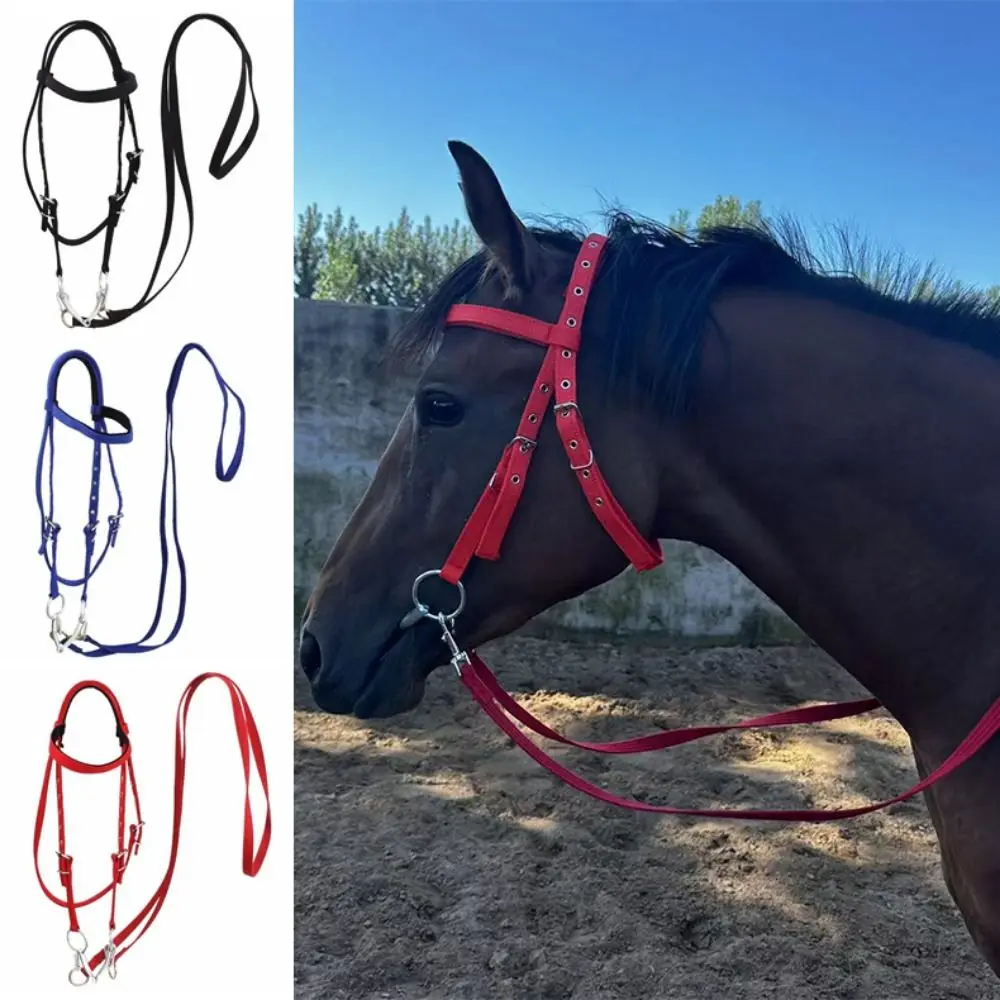 Halteres de caballo engrosados, correa ajustable, cómoda diadema con brida para caballo, ensanchador de cuello de caballo de tres colores resistente