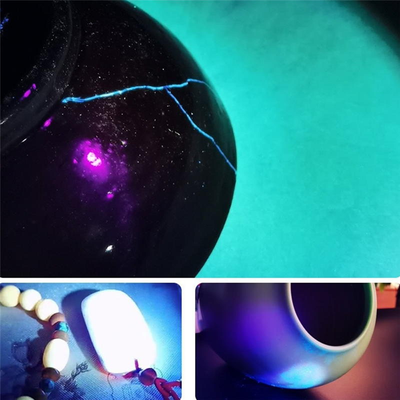 Lanterna de detecção de luz do purpler SCLS para detecção doméstica de resíduos de vegetais e frutas