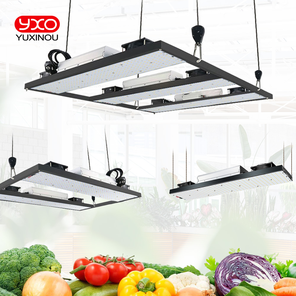 Samsung LM301h LED Grow Phytolamp Vollspektrum-LED-Wachstumslichter 240 W 480 W 720 W Wachstumslicht für Gemüseblumensämlinge im Innenbereich