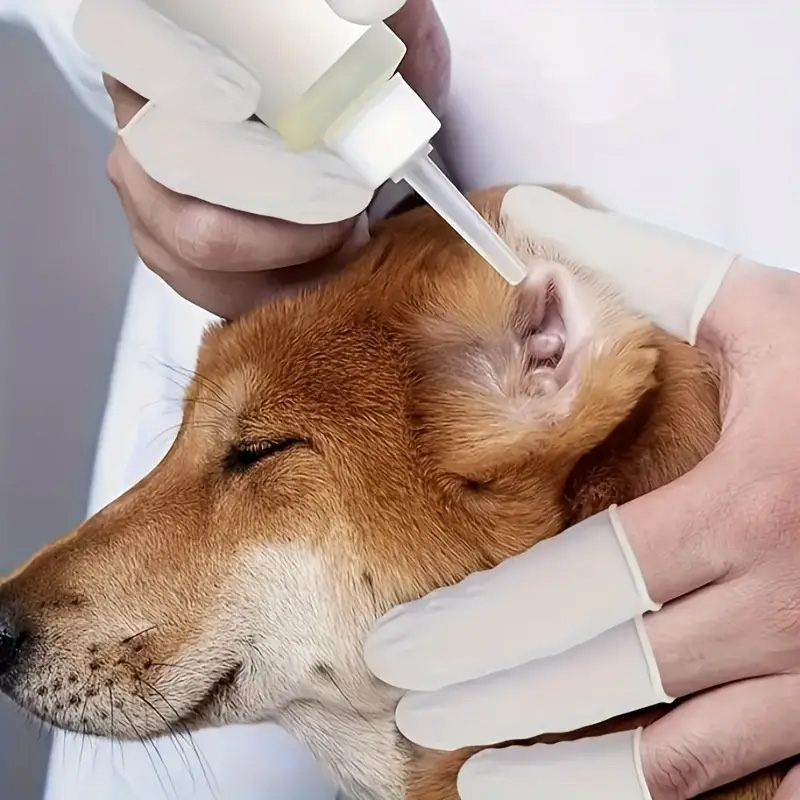 100PCS Multi-color Disposable Finger Cots Anti Slip Latex Powder Free Rolled Edge Finger Cots Beauty Hairdressing Tattoo Tools