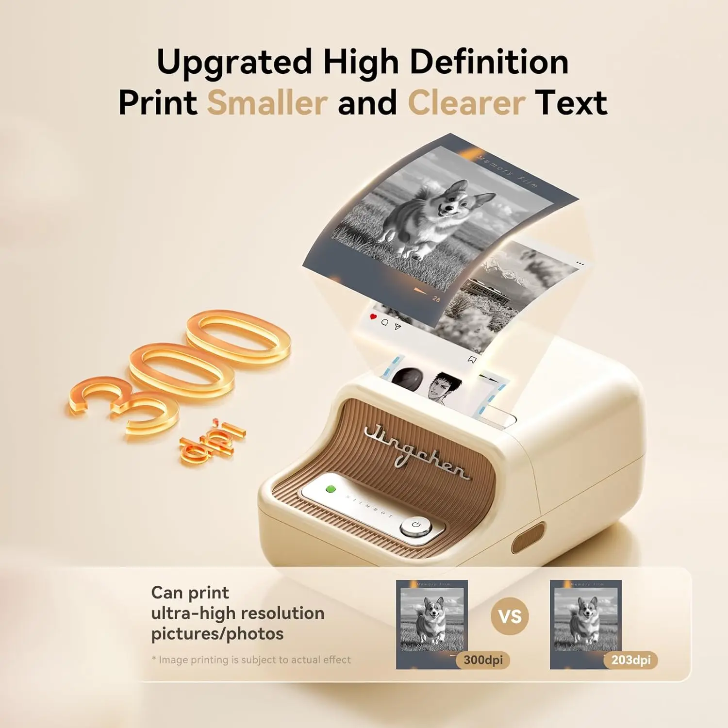 Niimbot 200dpiB21 300dpi B21PRO Label Maker Tag Price Impressora de etiquetas térmicas portátil com etiquetas fotográficas brancas para padaria/negócios