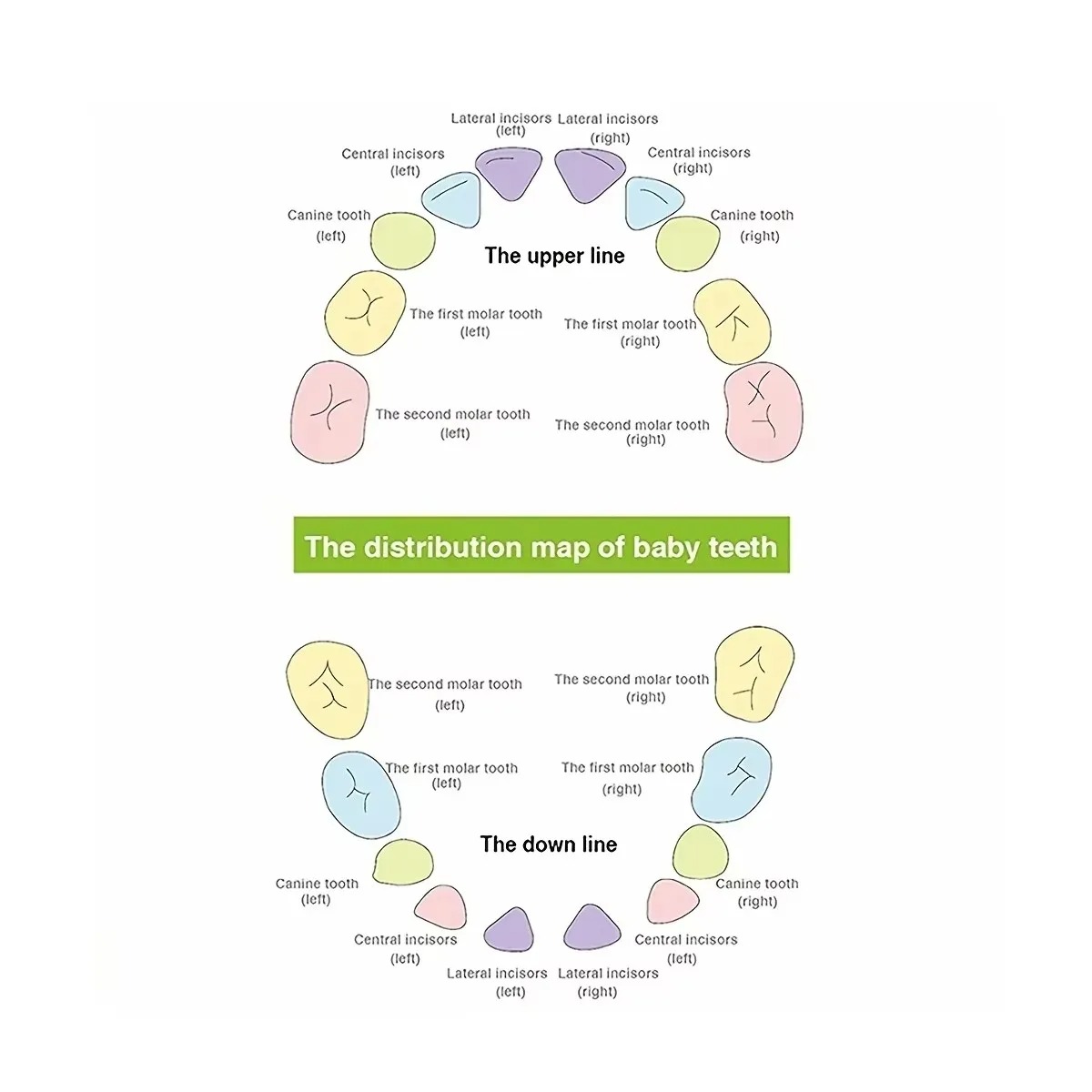 Homfish caixa de armazenamento de dentes de bebê de madeira crianças caixa de madeira organizador caixa comemorativa crianças coleta cabo umbilical storag