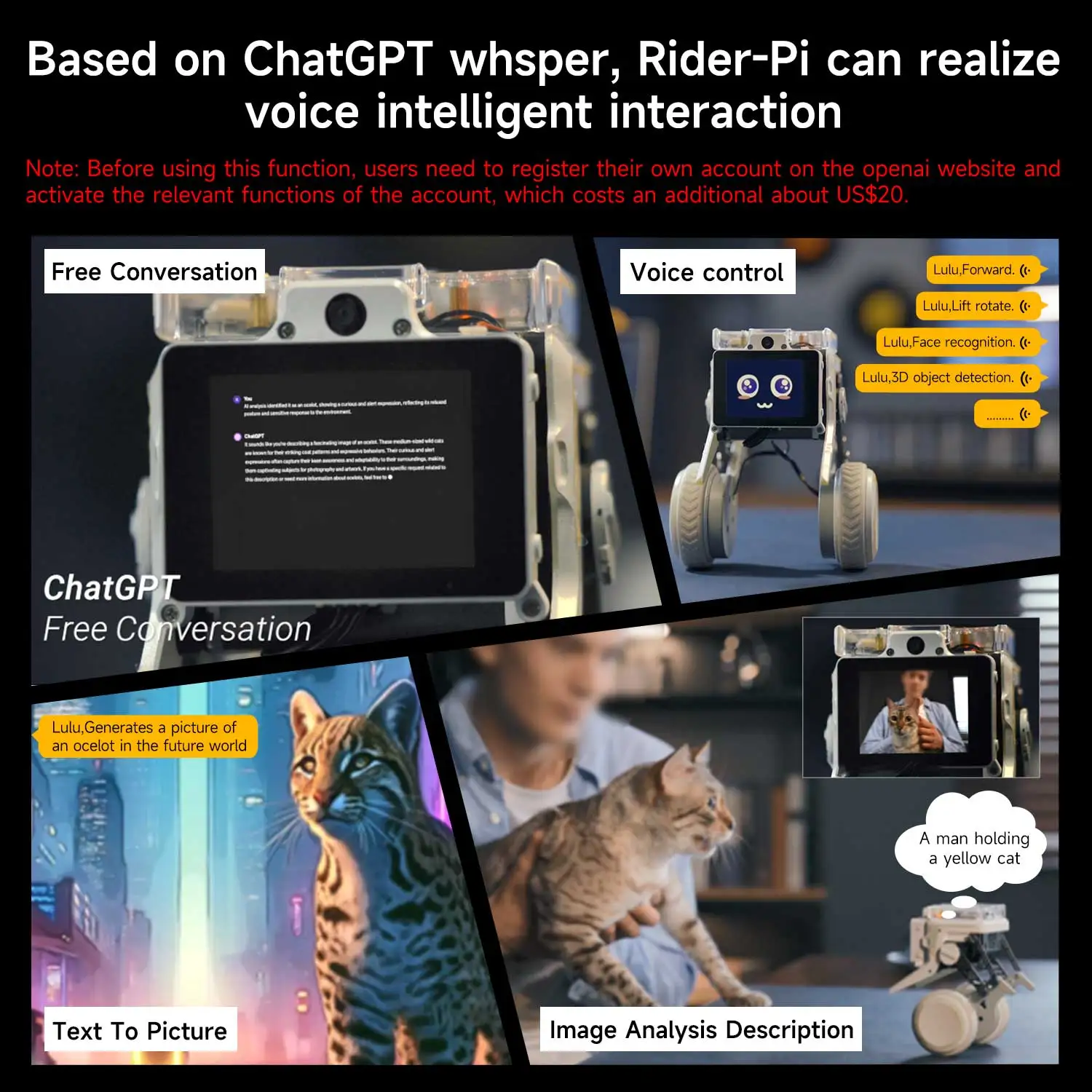 Rider-Pi AI Visual Robot Two Wheel Legged Smart Car Toys with IMU Module Python Programming Support ChatGPT Voice Interaction