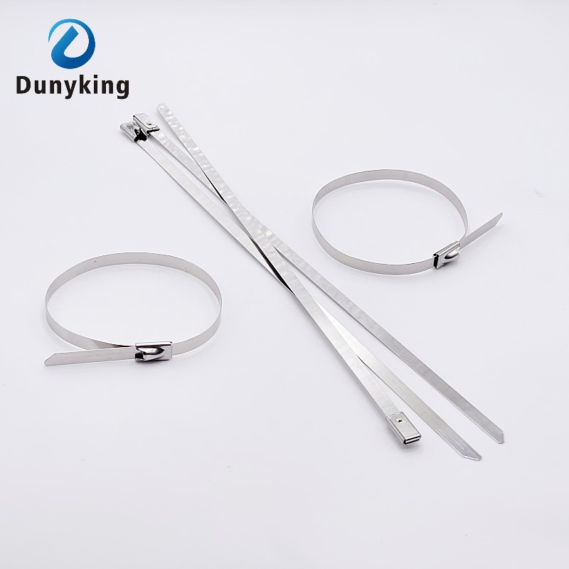 10/20/100 шт., металлические кабельные стяжки из нержавеющей стали