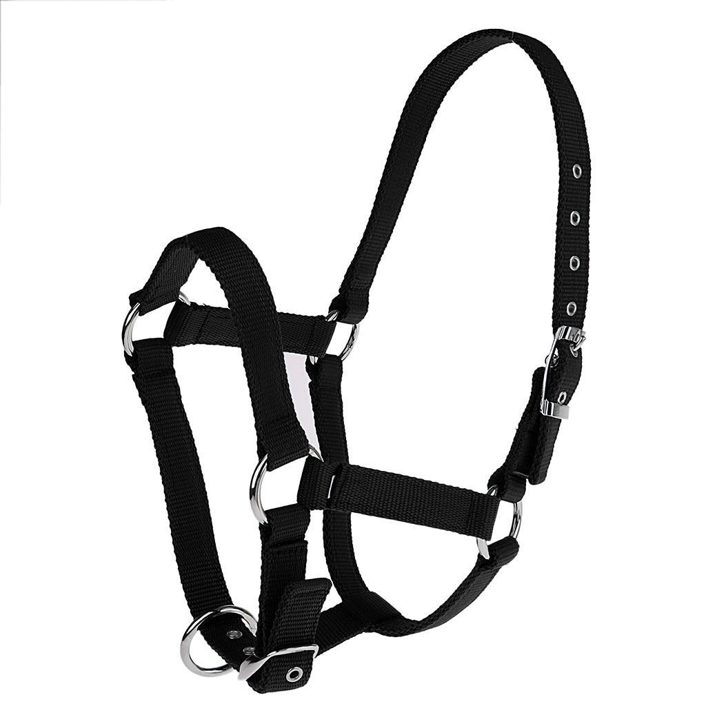 Sangle en nylon réglable pour cheval, licou équestre occidental, vêtements d'équitation, noir L