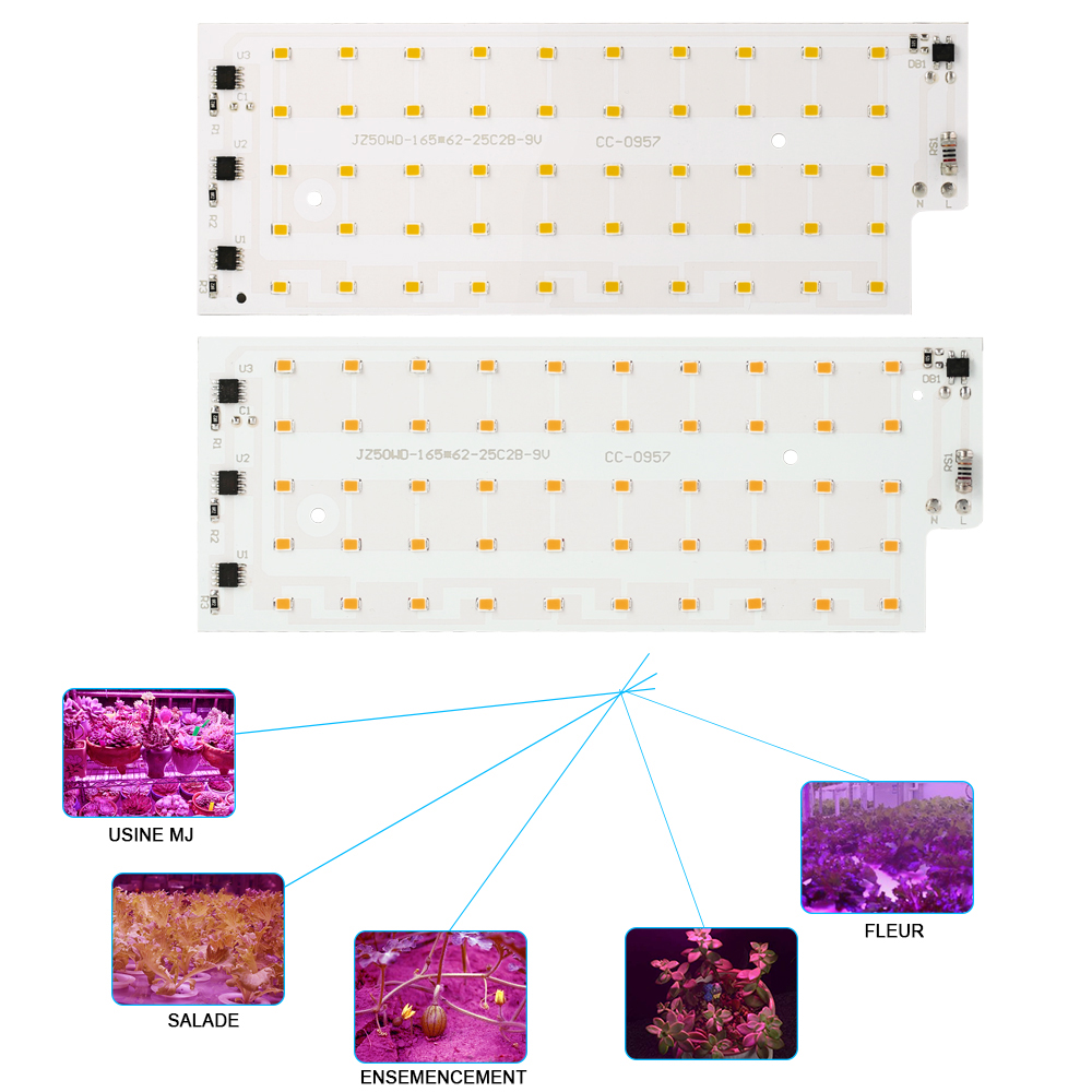 Puce Lumineuse de Croissance LED Complète SMD2835 50W, Éclairage à Large Faisceau pour Plantes, Tente Intérieure, Boîte, Lampe pour Fleurs, DIY