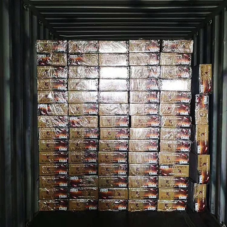 Long Tail Boat Propeller 15hp 4 Stroke Marine Gasoline Outboard Motor 15 Hp Boat Engine