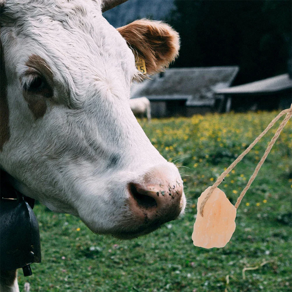 4 個動物なめる塩ブロック馬のおやつ健康ミネラルヒマラヤピンク塩家畜天然塩ブロックユニバーサル塩ブロック