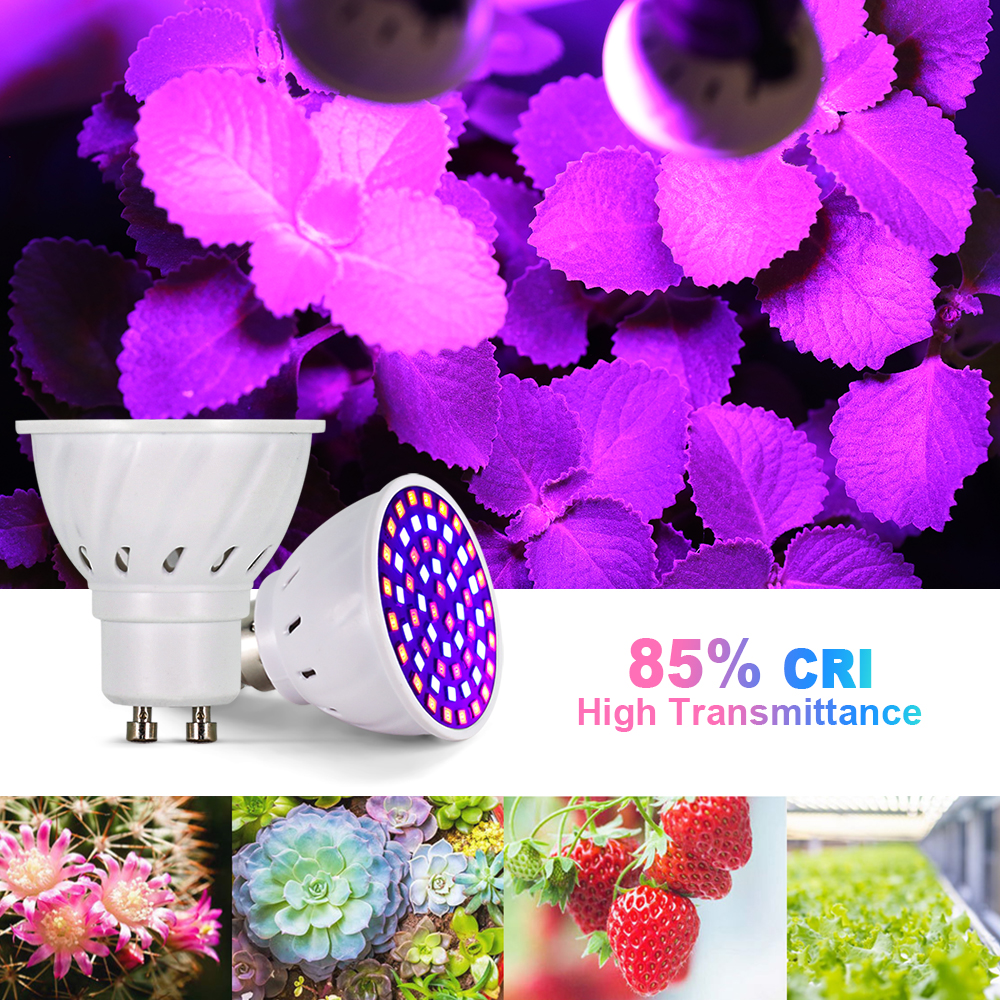 Led crescer espectro completo lâmpada e27 e14 gu10 mr16 220v estufa hidropônica lâmpada crescer luz para planta interior 230v phyto flor lâmpada
