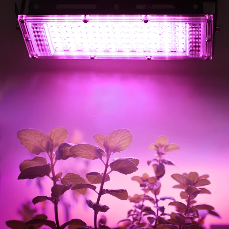 3 szt. 50W oświetlenie LED do uprawy AC220V pełny spektrum DIY szklarnia hydroponiczne oświetlenie wzrostu roślin Smd2835 oświetlenie roślin doniczkowych Seedlin