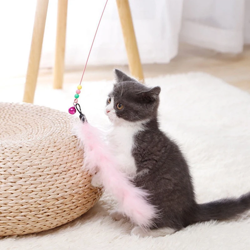 Katzen-Teaser-Stick mit Glöckchen, Federn und Saugnapf mit langem Stab