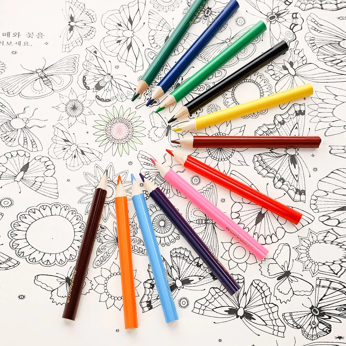 Mini juego de lápices de 12 colores, lápices preafilados de colores cortos para dibujar, colorear, sombrear para niños, estudiantes o niños