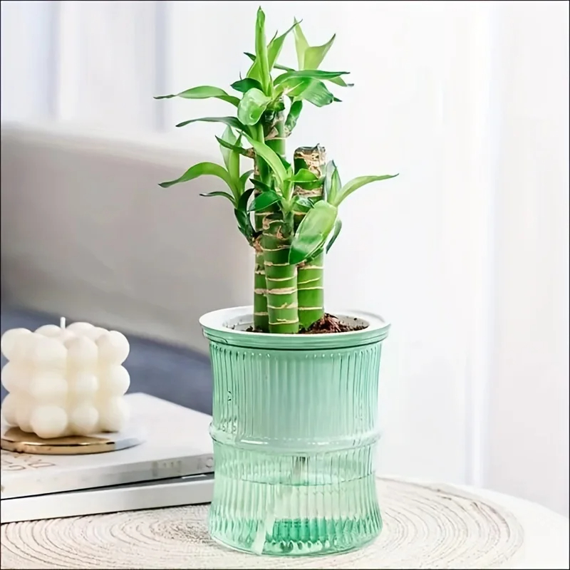 Lazy Hydroponic ดอกไม้หม้อดูดซับน้ําอัตโนมัติกระถางดอกไม้โปร่งใส Double Layer พลาสติกรดน้ําด้วยตนเอง Planter Office