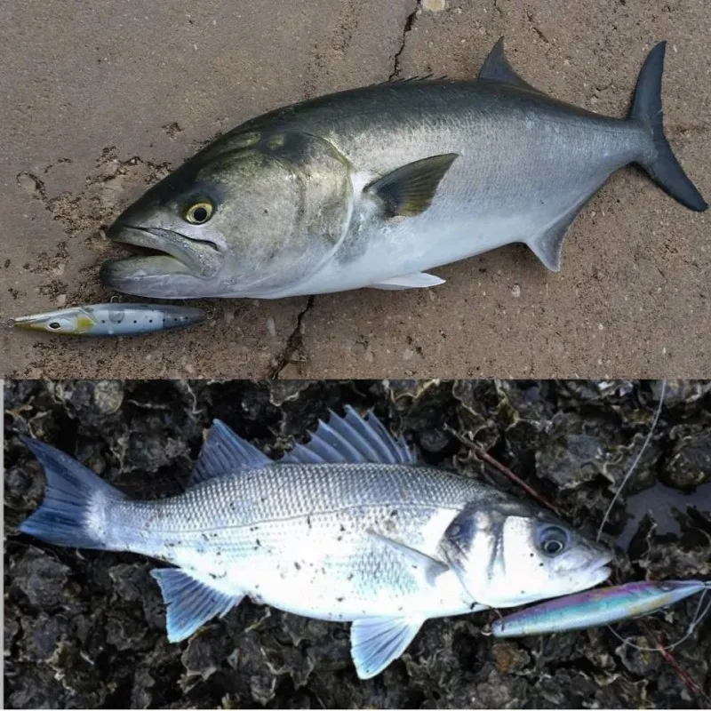 Teknik Fishing Lure 2024, плавающая приманка-карандаш, 90/110/130 мм, Stickbaitembali Wobbler Topwater asturie, приманки для Seabass bonitos