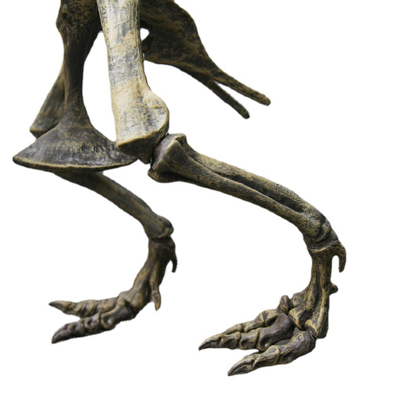 大型 DIY 恐竜スケルトンおもちゃオーナメントシミュレーション T-レックスモデルジュラシ組み立てスケルトンパーク化石ドラゴン子供男の子用