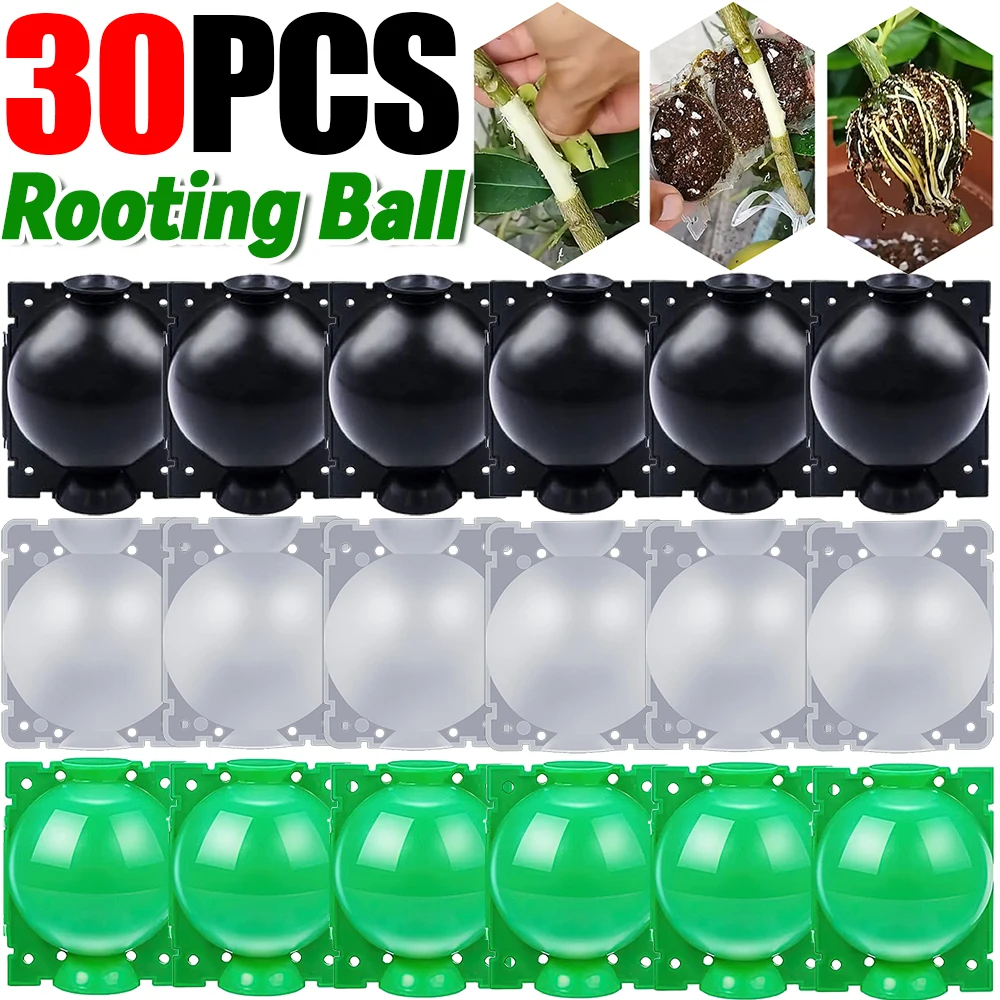 5/30Pcs Plant Rooting Ball High Pressure Propagation Root Growing Box Garden Reusable Cutting Grafting Ball Breeding Equipment