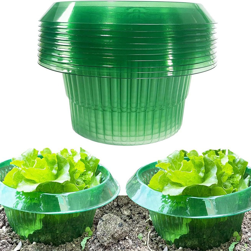 5/10/15/20 piezas collares de caracol Slug collares de protección de plantas cubiertas de verduras protector de caracol de plantas agrícolas reutilizable ahorrar agua
