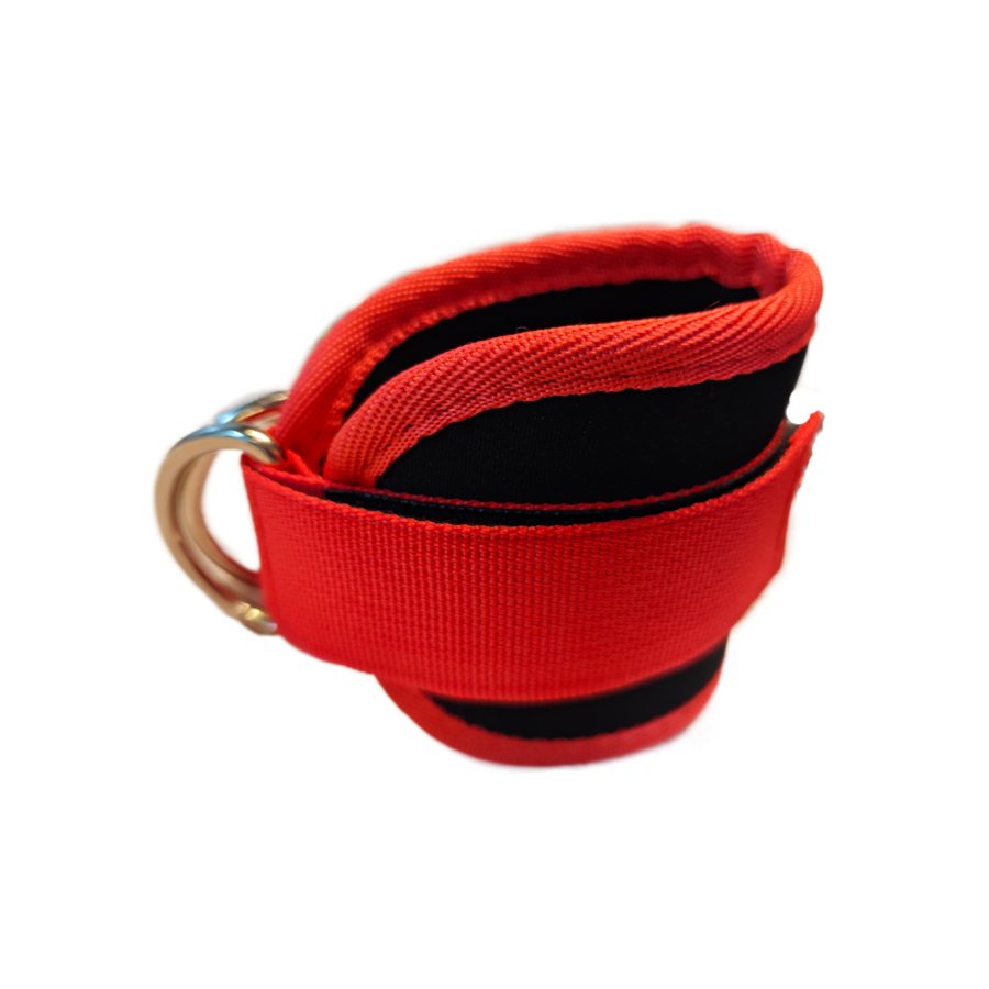 Fitness Enkelbandjes Verstelbare D-Ring Ondersteuning Manchetten Gym Beensterkte Workouts Katrol Met Gesp Sportbeschermer Veiligheid Ontmiddelen