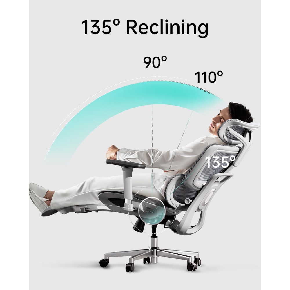 Ergonomic Office Chair with 3D Adjustable Armrests, Adjustable Lumbar Support High Back for Computer Chair, Big and Tall Mesh