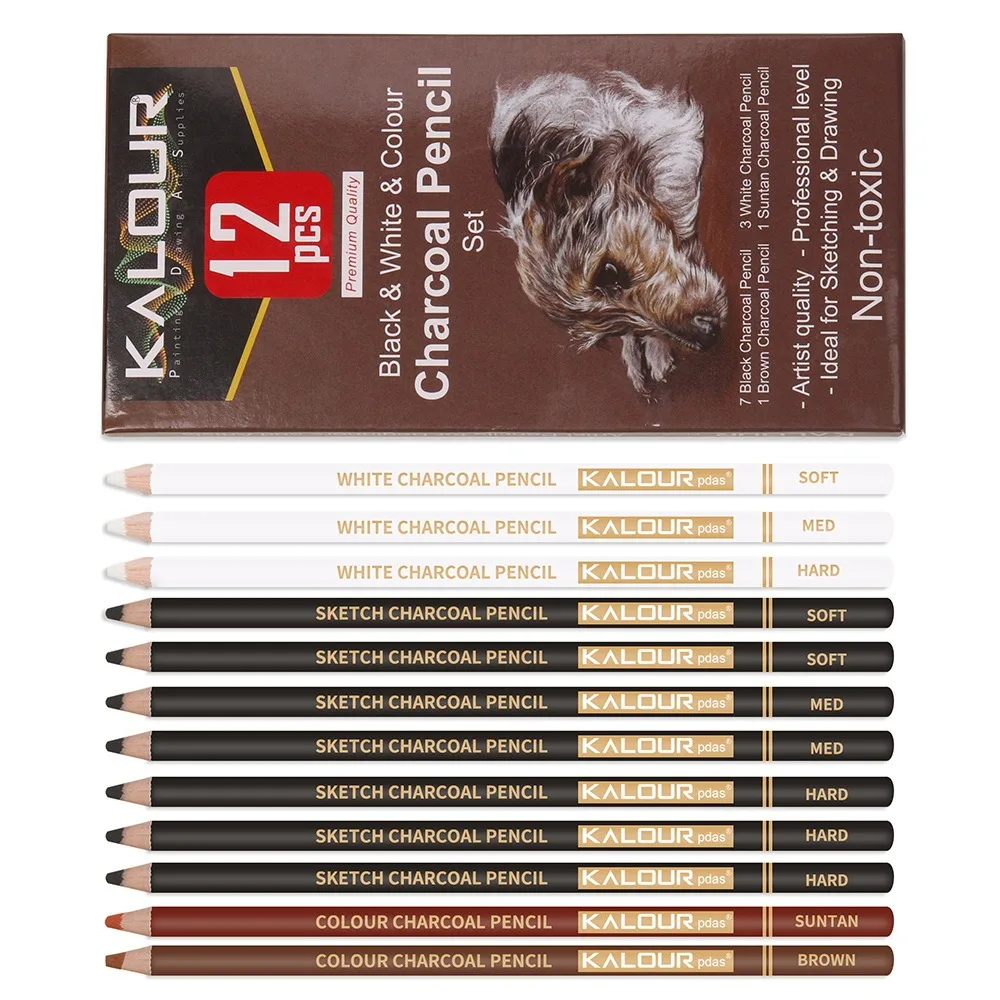 KALOUR Colored Charcoal Pencils Set, Professional 6/12 Pcs Pastel Chalk Drawing Kit for Sketching Shading Blending Portrait Art