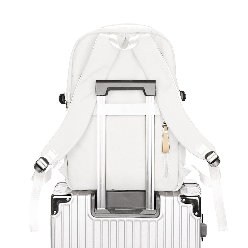 Reisrugzak Heren Nieuwe Bergsporttas Dames Grote Capaciteit Reiscomputer Rugzak Student Schooltas