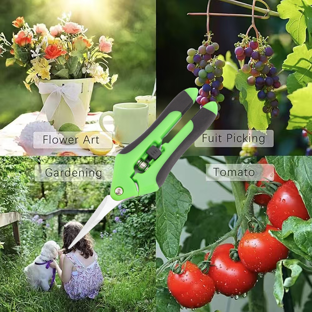 1 set di forbici da giardino da 6,5 pollici, cesoie da potatura da giardino, cesoie per rami di fiori antiscivolo che risparmiano manodopera, cesoie in acciaio inossidabile